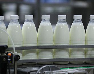 В Тульской области в 2023 году надоили более 200 тыс. тонн молока
