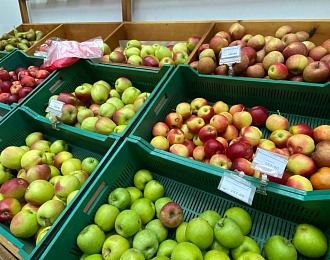 В Тульской области за неделю подешевли яблоки и картофель, но подорожали бананы и яйца
